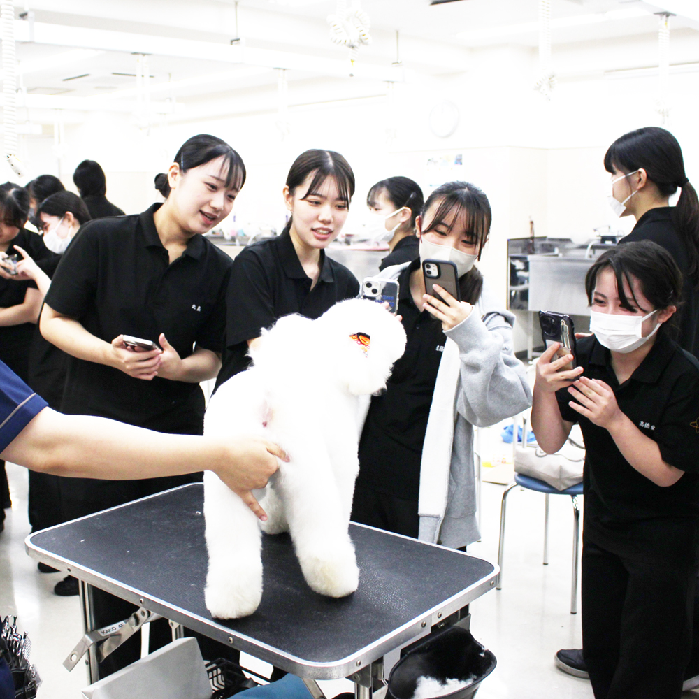 ２年生へ向けて先生の試技会～午前の部～